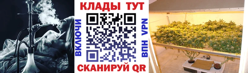 Где купить Петрозаводск Alpha-PVP БУТИРАТ ГАШ COCAIN Мефедрон