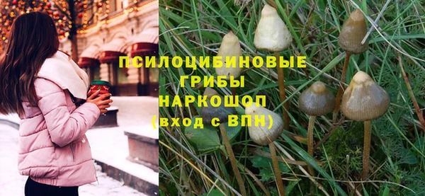 спайс Валдай