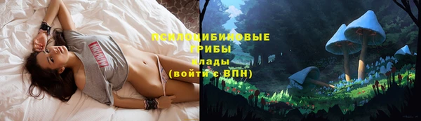 гашик Остров