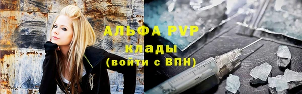 мдпв Осташков