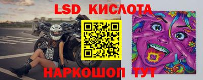 PSILOCYBIN Краснодар