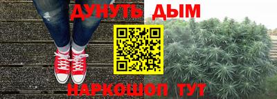 PSILOCYBIN Краснодар