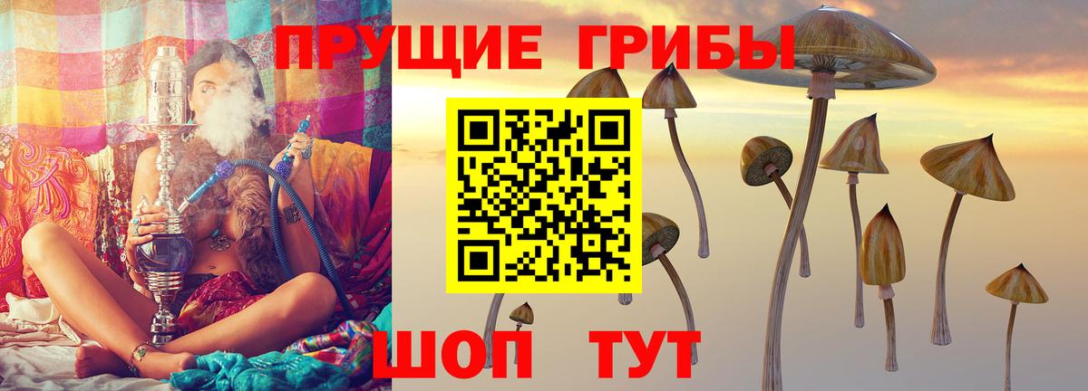 Галлюциногенные грибы Psilocybine cubensis Петрозаводск